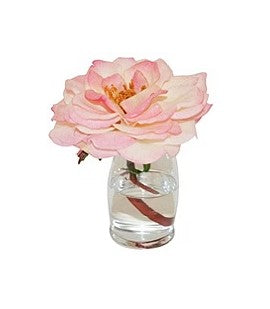 Single Pink Rose